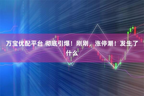 万宝优配平台 彻底引爆!刚刚,涨停潮!发生了什么