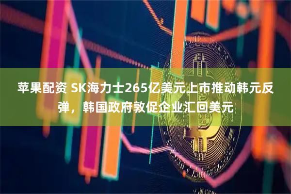 苹果配资 SK海力士265亿美元上市推动韩元反弹，韩国政府敦促企业汇回美元